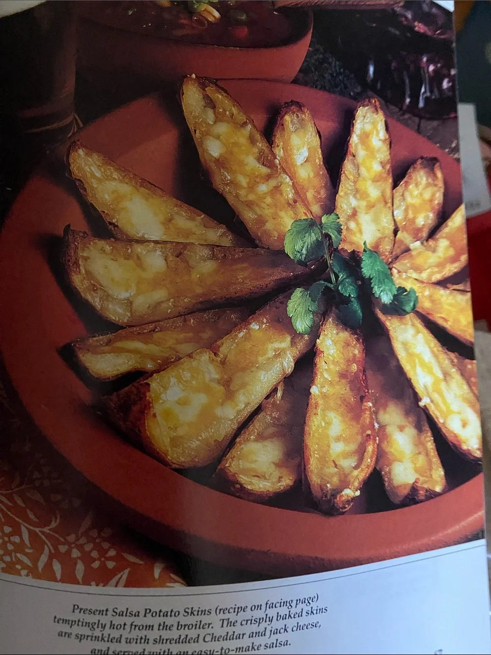 90s 1990s Appetizers Appetizer Cookbook party sides snack tray trays snacks side